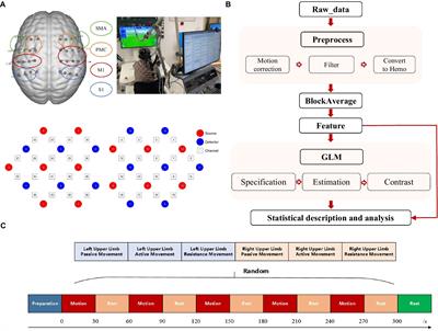 Cortical response characteristics of passive, active, and resistance movements: a multi-channel fNRIS study